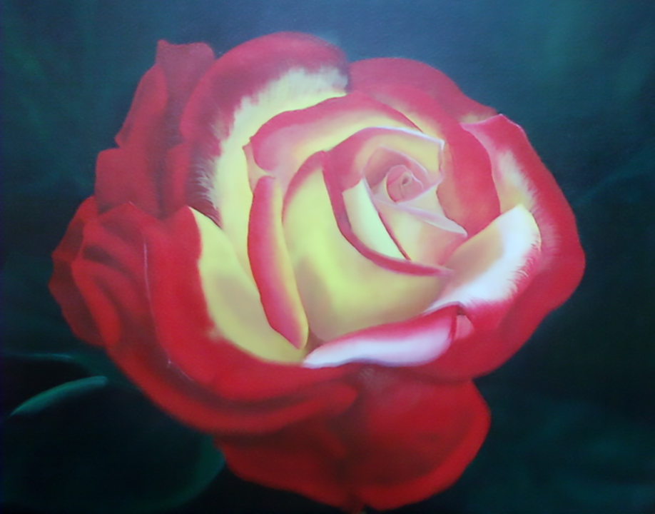Red and Yellow Rose